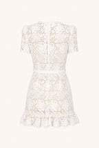 VIVIENNE Lace Embroidered Mini Dress