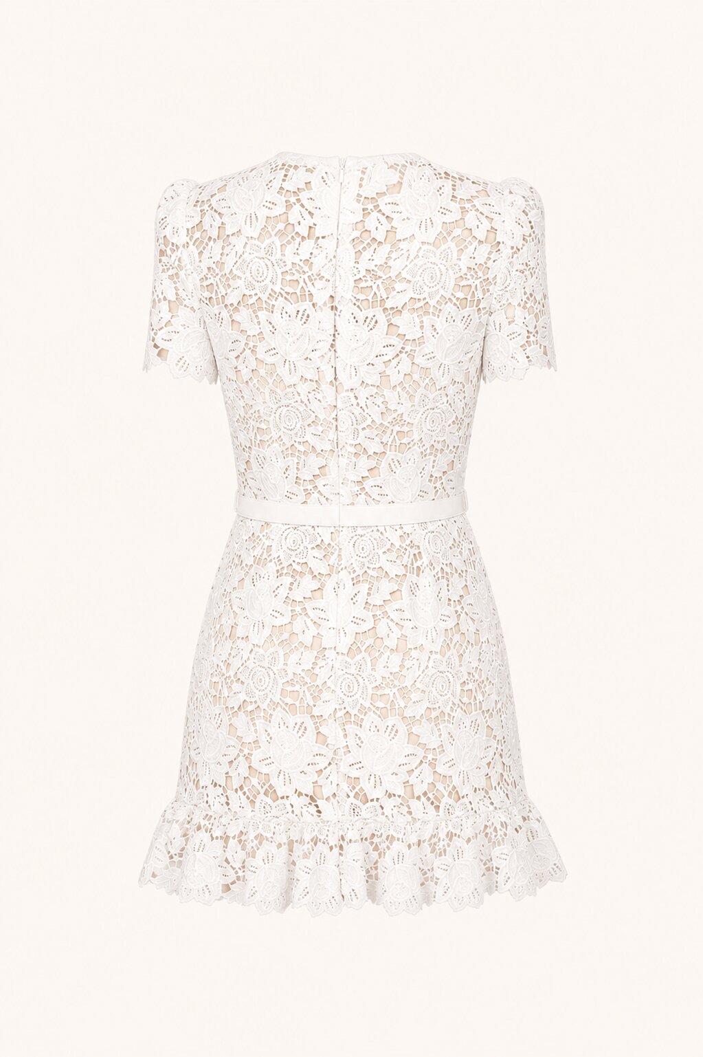 VIVIENNE Lace Embroidered Mini Dress